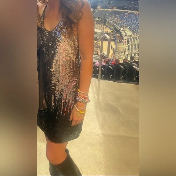 Silver Sparkly Dress-Eras Tour-Fearless Era - Picture 4 of 4